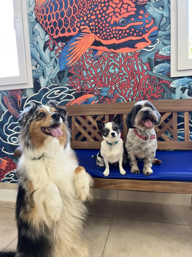 Nos patients