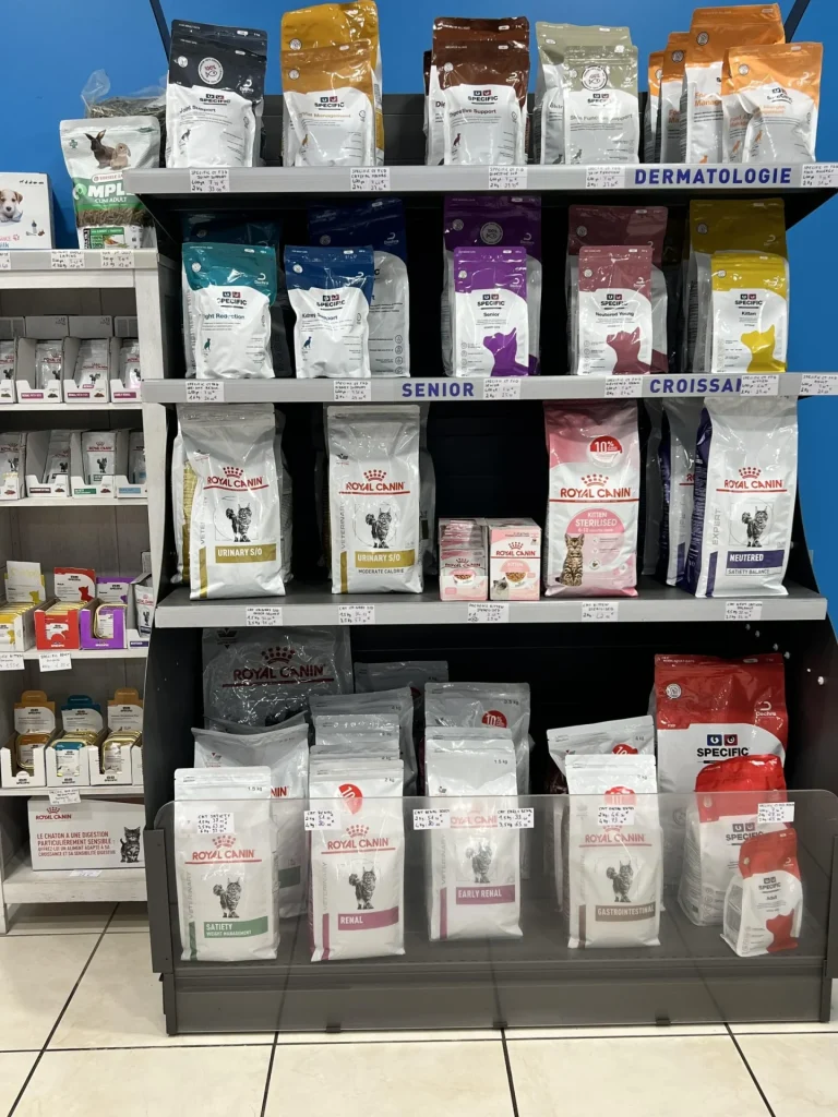 Notre équipe